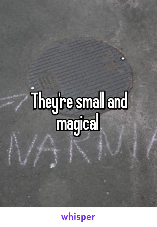 They're small and magical 