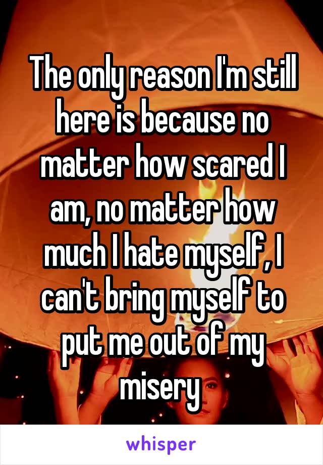 The only reason I'm still here is because no matter how scared I am, no matter how much I hate myself, I can't bring myself to put me out of my misery 