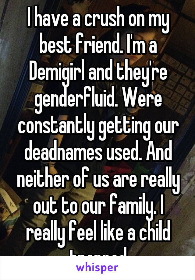 I have a crush on my best friend. I'm a Demigirl and they're genderfluid. Were constantly getting our deadnames used. And neither of us are really out to our family. I really feel like a child trapped