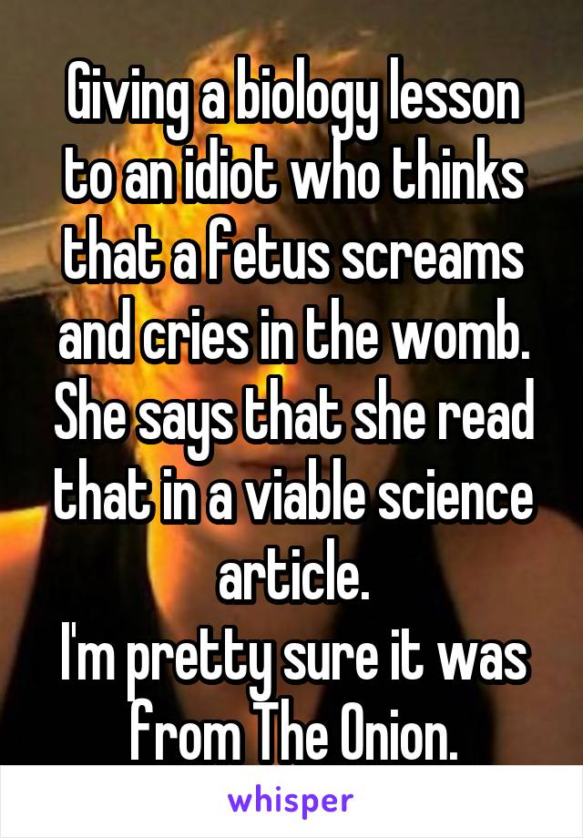 Giving a biology lesson to an idiot who thinks that a fetus screams and cries in the womb.
She says that she read that in a viable science article.
I'm pretty sure it was from The Onion.