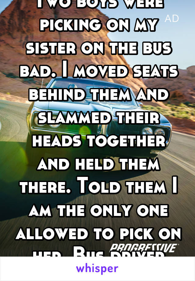 Two boys were picking on my sister on the bus bad. I moved seats behind them and slammed their heads together and held them there. Told them I am the only one allowed to pick on her. Bus driver agreed