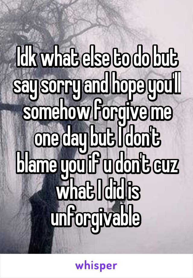 Idk what else to do but say sorry and hope you'll somehow forgive me one day but I don't blame you if u don't cuz what I did is unforgivable 