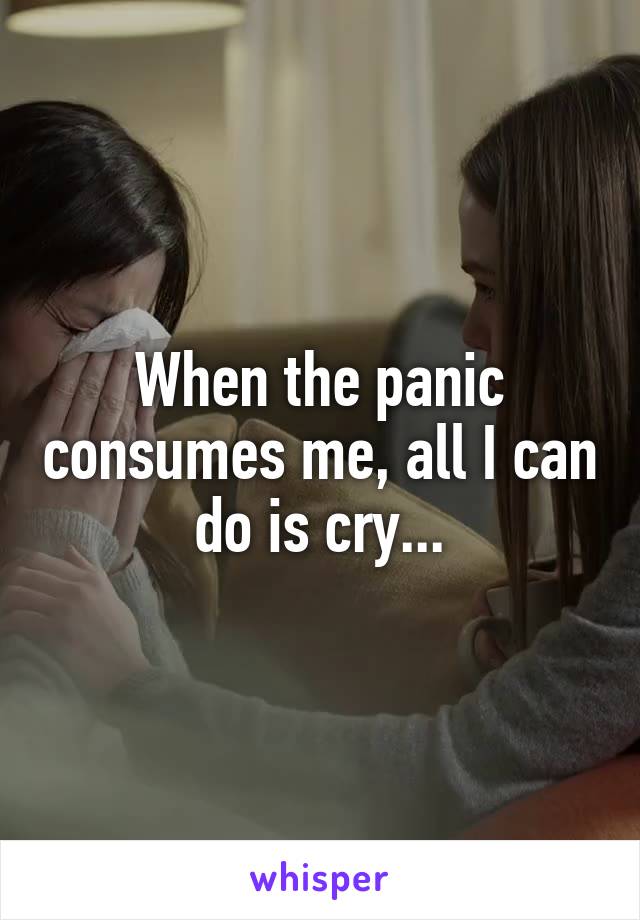 When the panic consumes me, all I can do is cry...