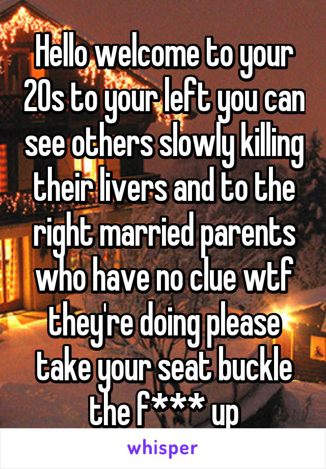 Hello welcome to your 20s to your left you can see others slowly killing their livers and to the right married parents who have no clue wtf they're doing please take your seat buckle the f*** up