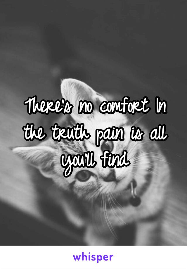 There's no comfort In the truth pain is all you'll find