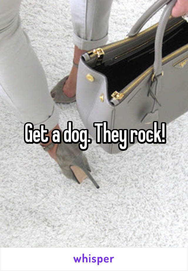 Get a dog. They rock!