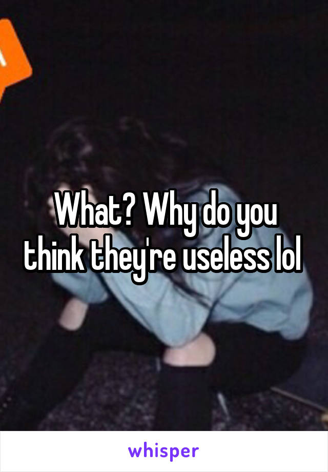 What? Why do you think they're useless lol 