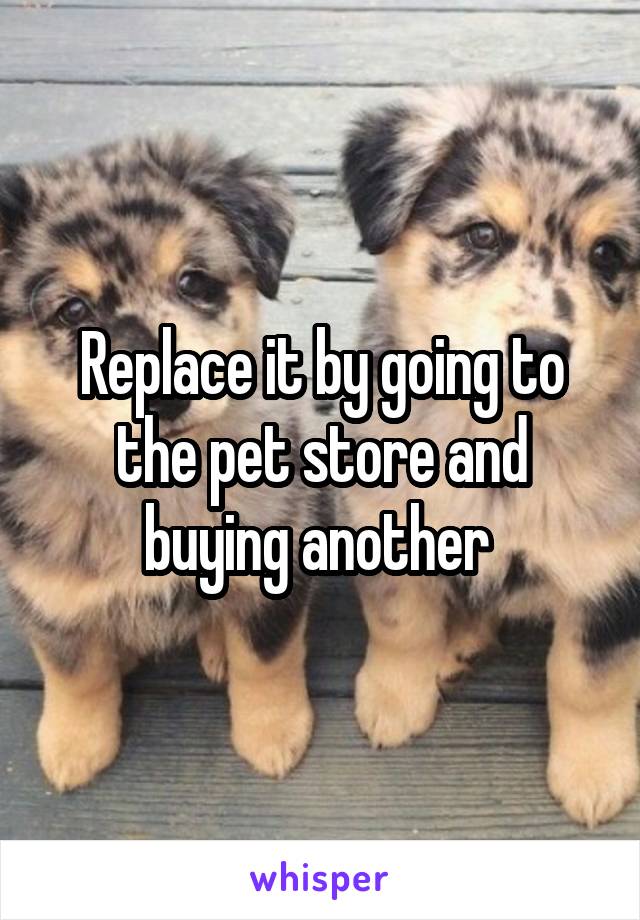 Replace it by going to the pet store and buying another 