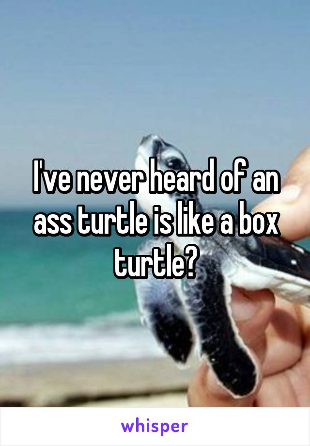 I've never heard of an ass turtle is like a box turtle?