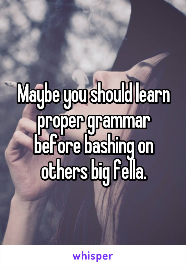 Maybe you should learn proper grammar before bashing on others big fella.