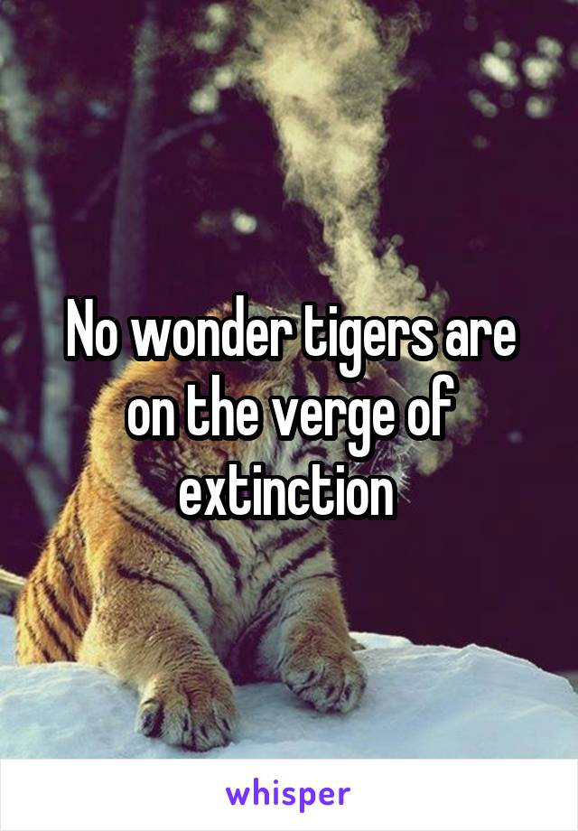 No wonder tigers are on the verge of extinction 