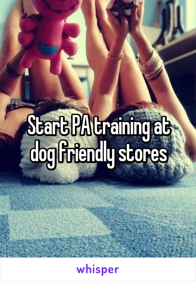 Start PA training at dog friendly stores