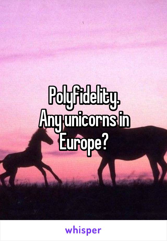 Polyfidelity.
Any unicorns in Europe?