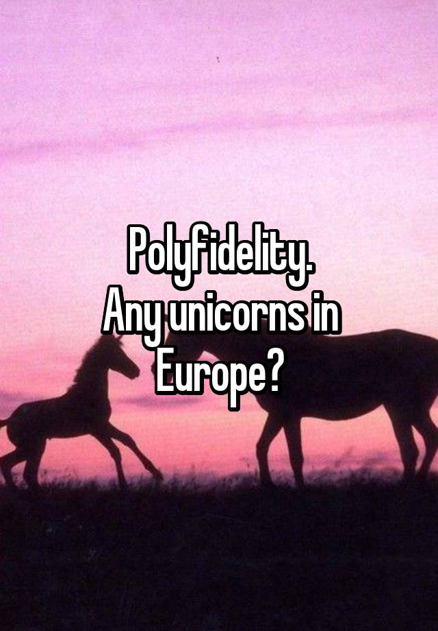 Polyfidelity.
Any unicorns in Europe?