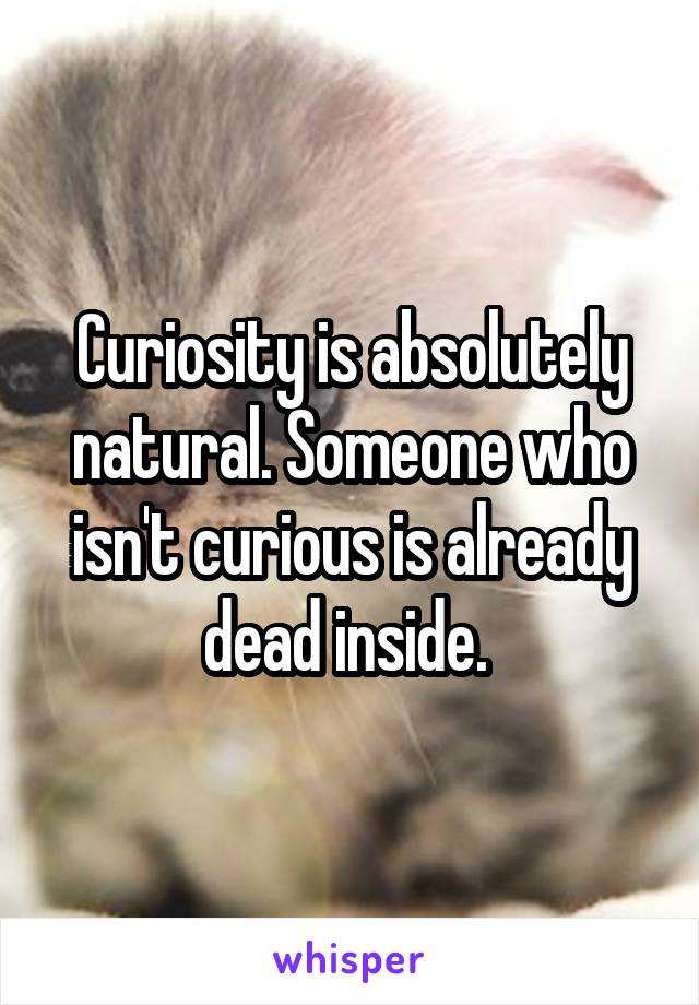 Curiosity is absolutely natural. Someone who isn't curious is already dead inside. 