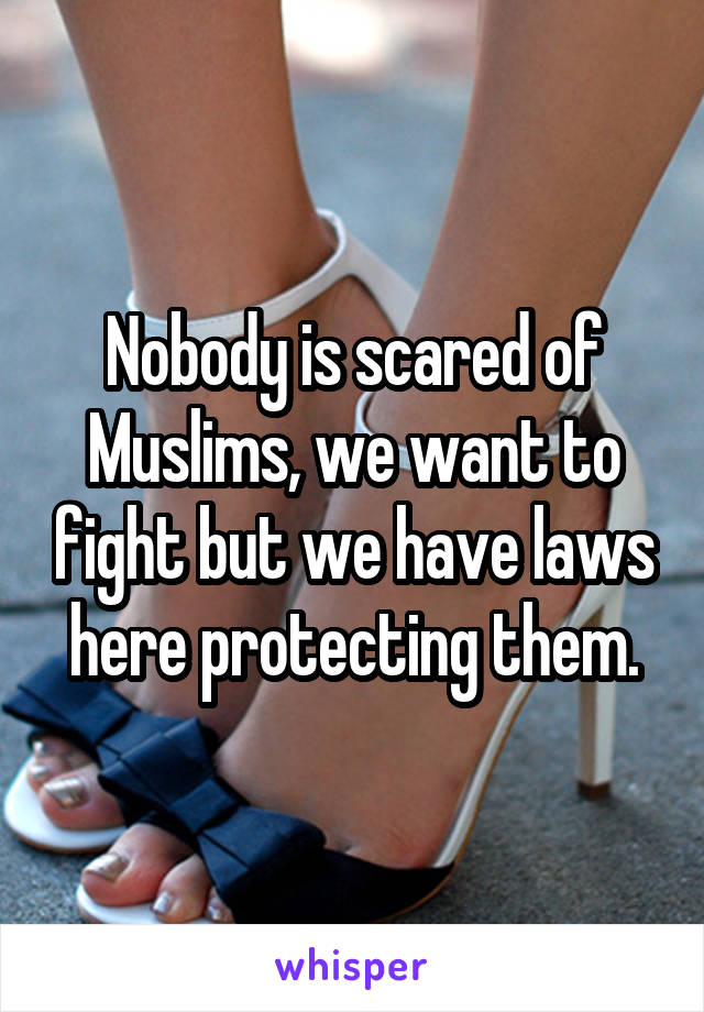 Nobody is scared of Muslims, we want to fight but we have laws here protecting them.