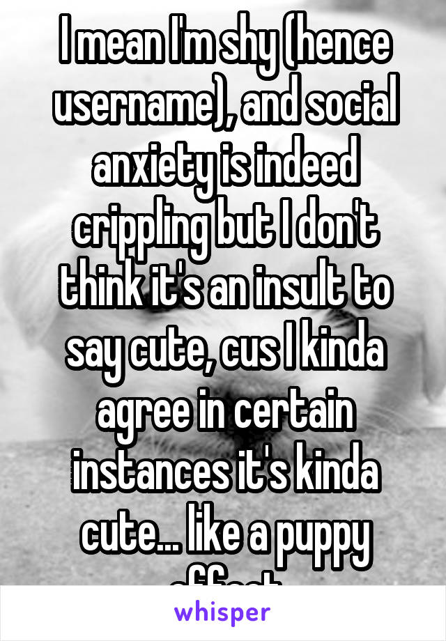 I mean I'm shy (hence username), and social anxiety is indeed crippling but I don't think it's an insult to say cute, cus I kinda agree in certain instances it's kinda cute... like a puppy effect