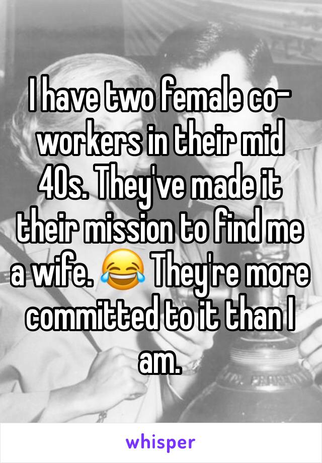 I have two female co-workers in their mid 40s. They've made it their mission to find me a wife. 😂 They're more committed to it than I am. 