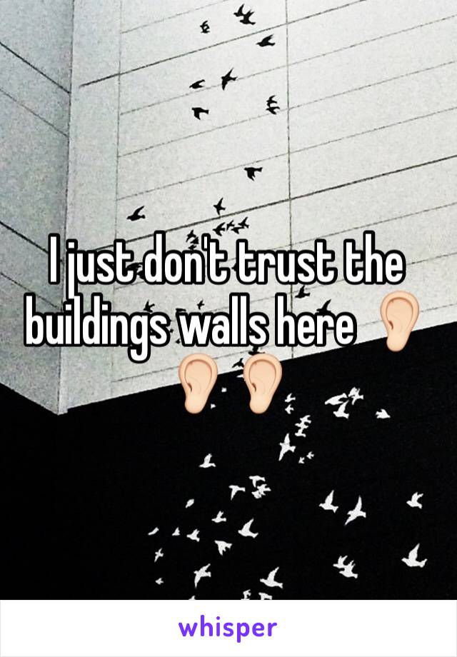 I just don't trust the buildings walls here 👂🏻👂🏻👂🏻