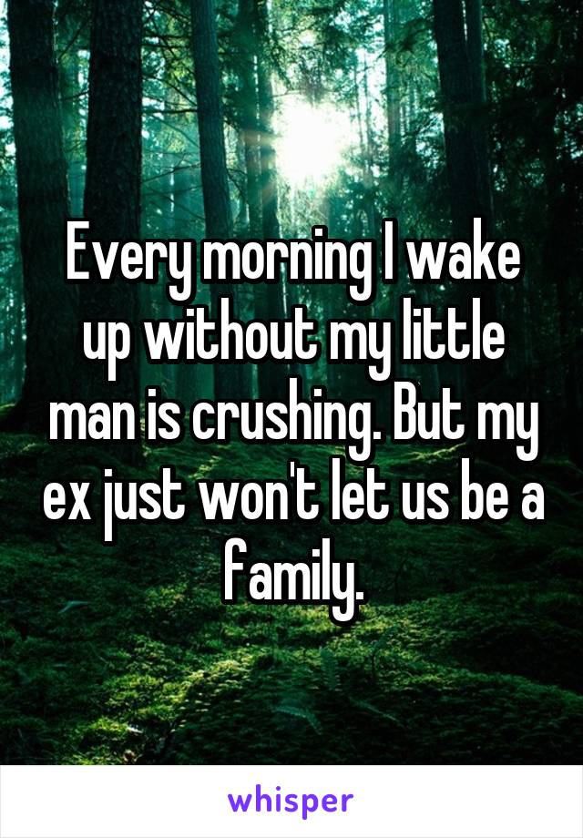 Every morning I wake up without my little man is crushing. But my ex just won't let us be a family.