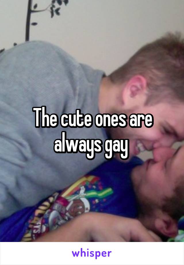 The cute ones are always gay 