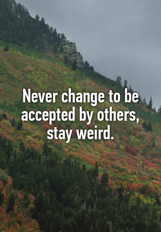 never-change-to-be-accepted-by-others-stay-weird