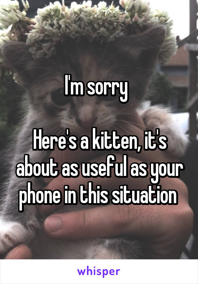 I'm sorry  

Here's a kitten, it's about as useful as your phone in this situation 