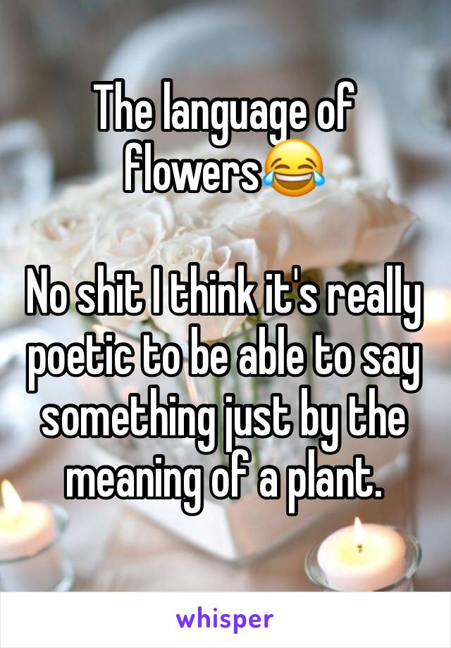 The language of flowers😂

No shit I think it's really poetic to be able to say something just by the meaning of a plant.