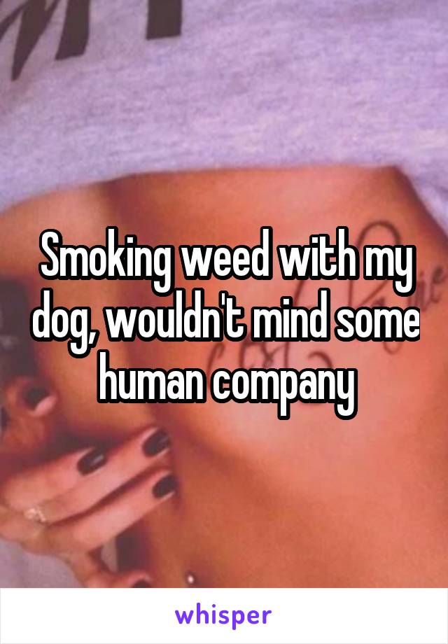 Smoking weed with my dog, wouldn't mind some human company