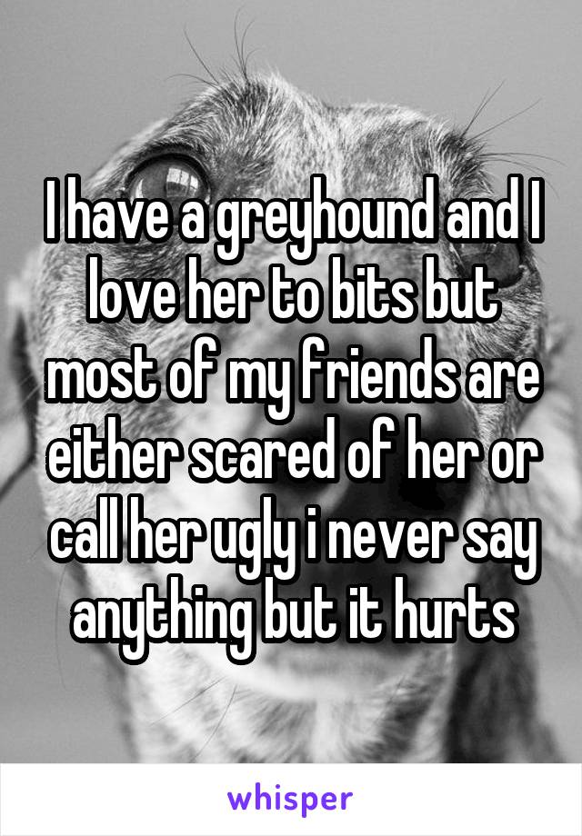 I have a greyhound and I love her to bits but most of my friends are either scared of her or call her ugly i never say anything but it hurts