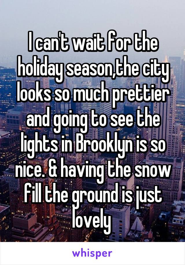 I can't wait for the holiday season,the city looks so much prettier and going to see the lights in Brooklyn is so nice. & having the snow fill the ground is just lovely 