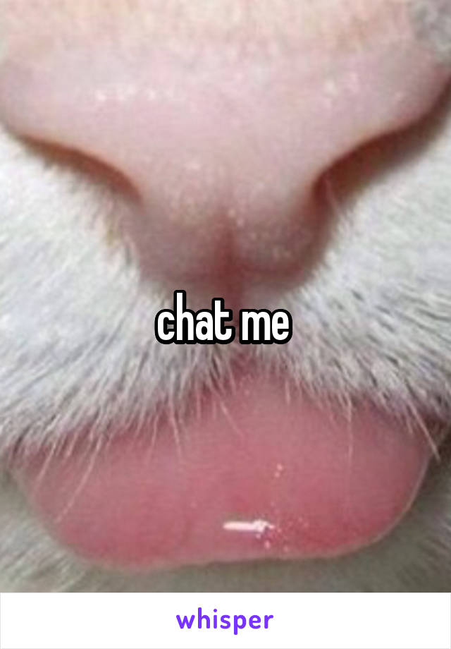chat me 