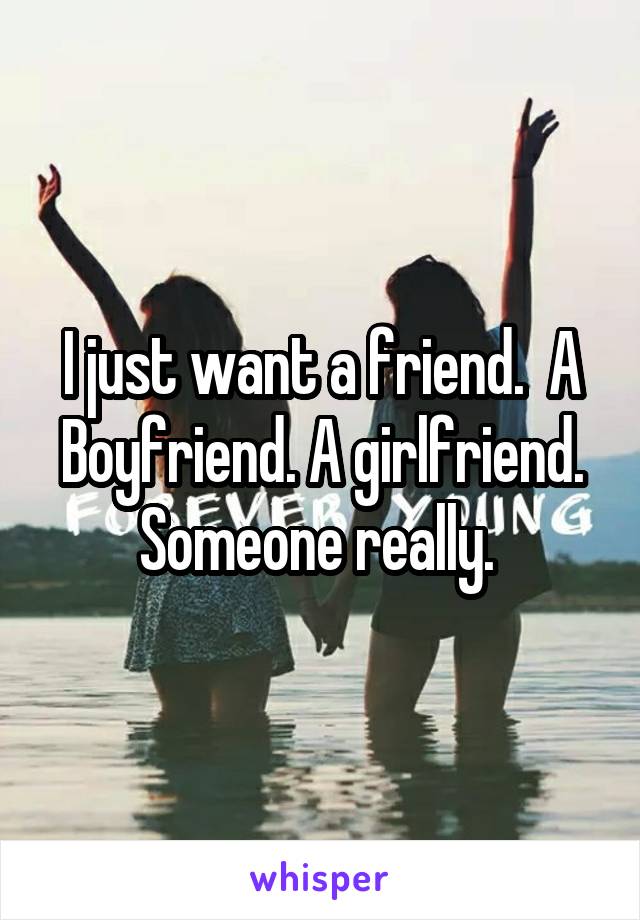 I just want a friend.  A Boyfriend. A girlfriend. Someone really. 