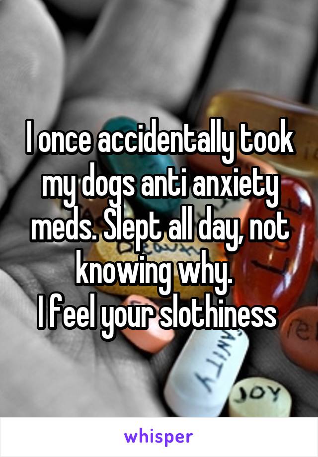 I once accidentally took my dogs anti anxiety meds. Slept all day, not knowing why.  
I feel your slothiness 