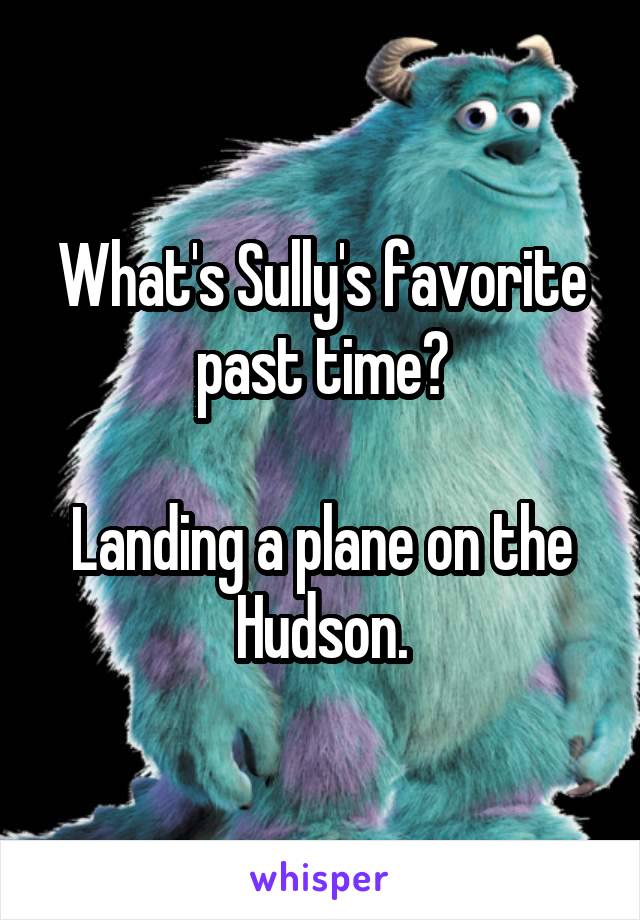 What's Sully's favorite past time?

Landing a plane on the Hudson.