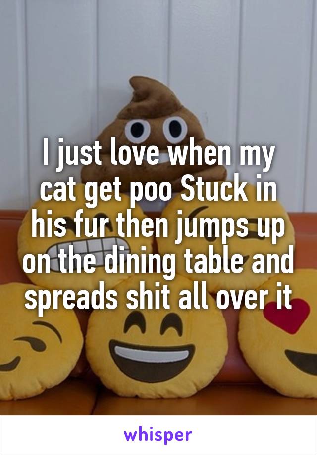 I just love when my cat get poo Stuck in his fur then jumps up on the dining table and spreads shit all over it