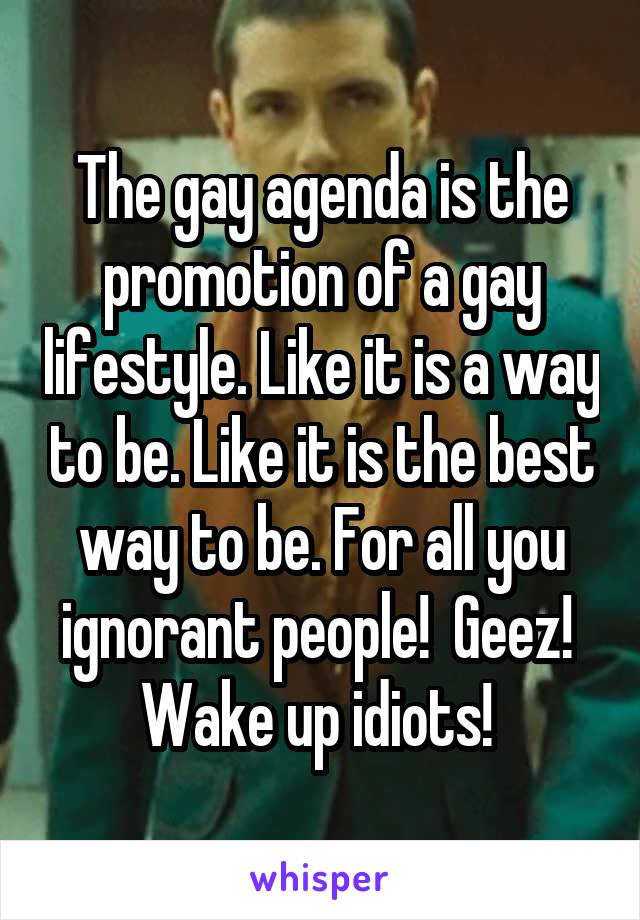 The gay agenda is the promotion of a gay lifestyle. Like it is a way to be. Like it is the best way to be. For all you ignorant people!  Geez!  Wake up idiots! 