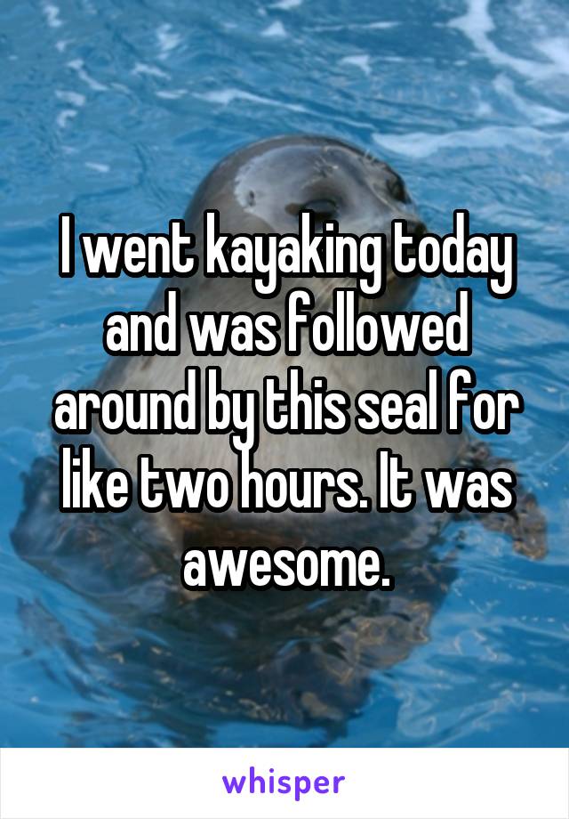 I went kayaking today and was followed around by this seal for like two hours. It was awesome.