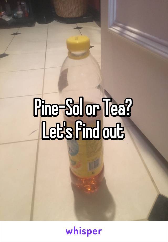 Pine-Sol or Tea? 
Let's find out 
