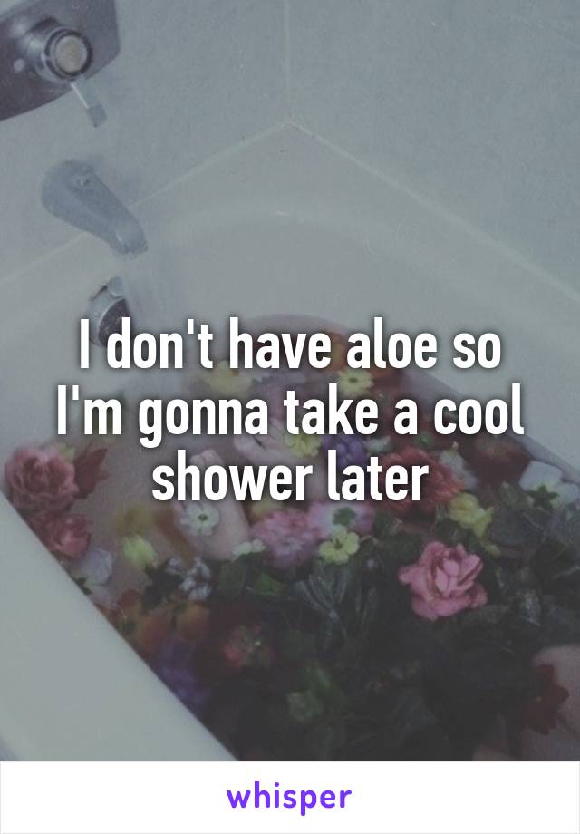 I don't have aloe so I'm gonna take a cool shower later