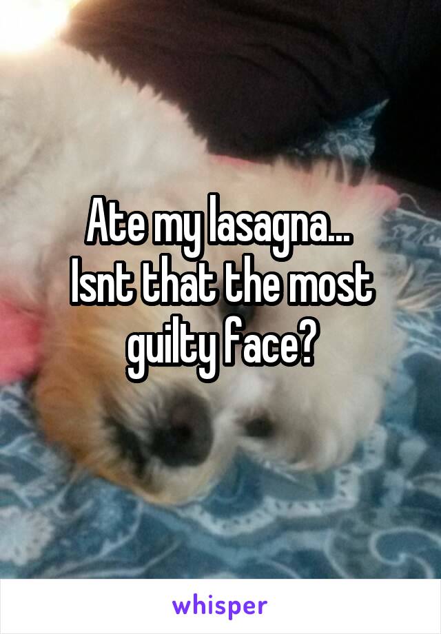 Ate my lasagna... 
Isnt that the most guilty face?
