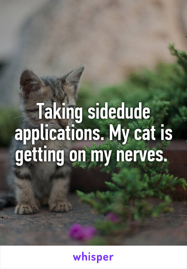 Taking sidedude applications. My cat is getting on my nerves. 