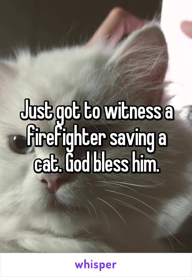 Just got to witness a firefighter saving a cat. God bless him.