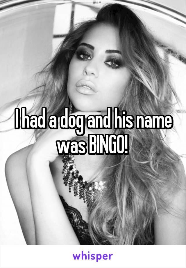 I had a dog and his name was BINGO! 