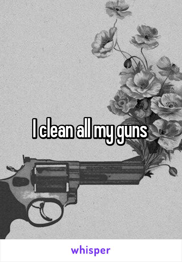 I clean all my guns 