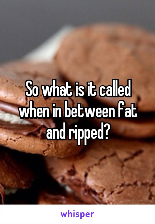 So what is it called when in between fat and ripped?
