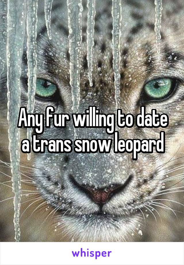 Any fur willing to date a trans snow leopard