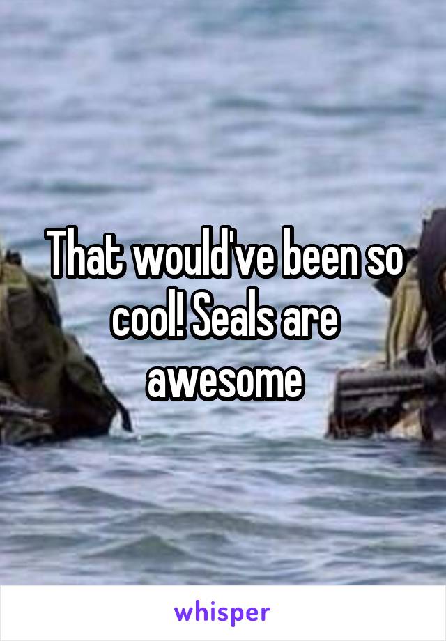 That would've been so cool! Seals are awesome