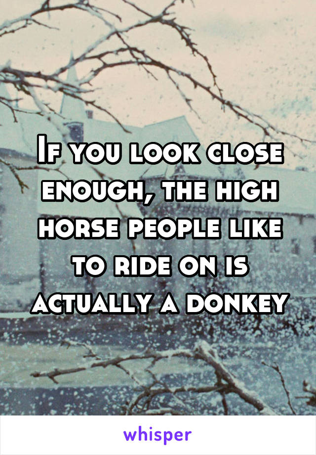 If you look close enough, the high horse people like to ride on is actually a donkey