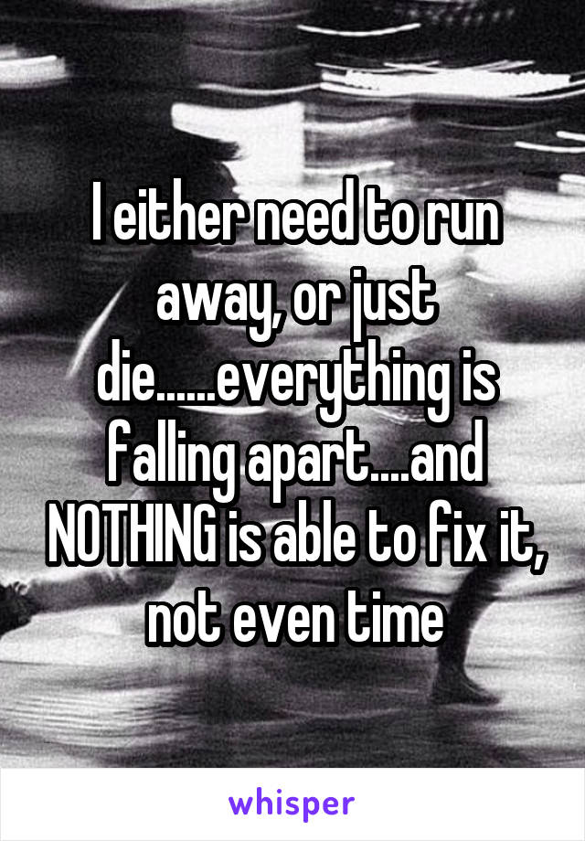 I either need to run away, or just die......everything is falling apart....and NOTHING is able to fix it, not even time